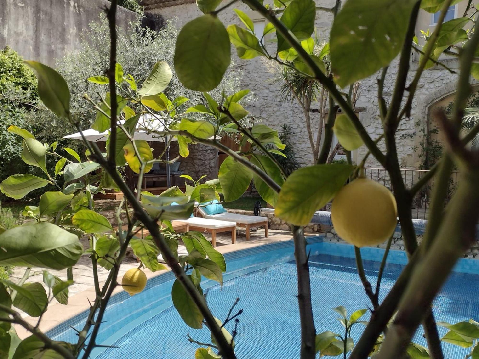 La Maison Des Autres, Piscine Chauffee, Chambres D'Hotes Proches Uzes, Nimes, Pont Du Gard Saint-Genies-de-Malgoires Екстериор снимка