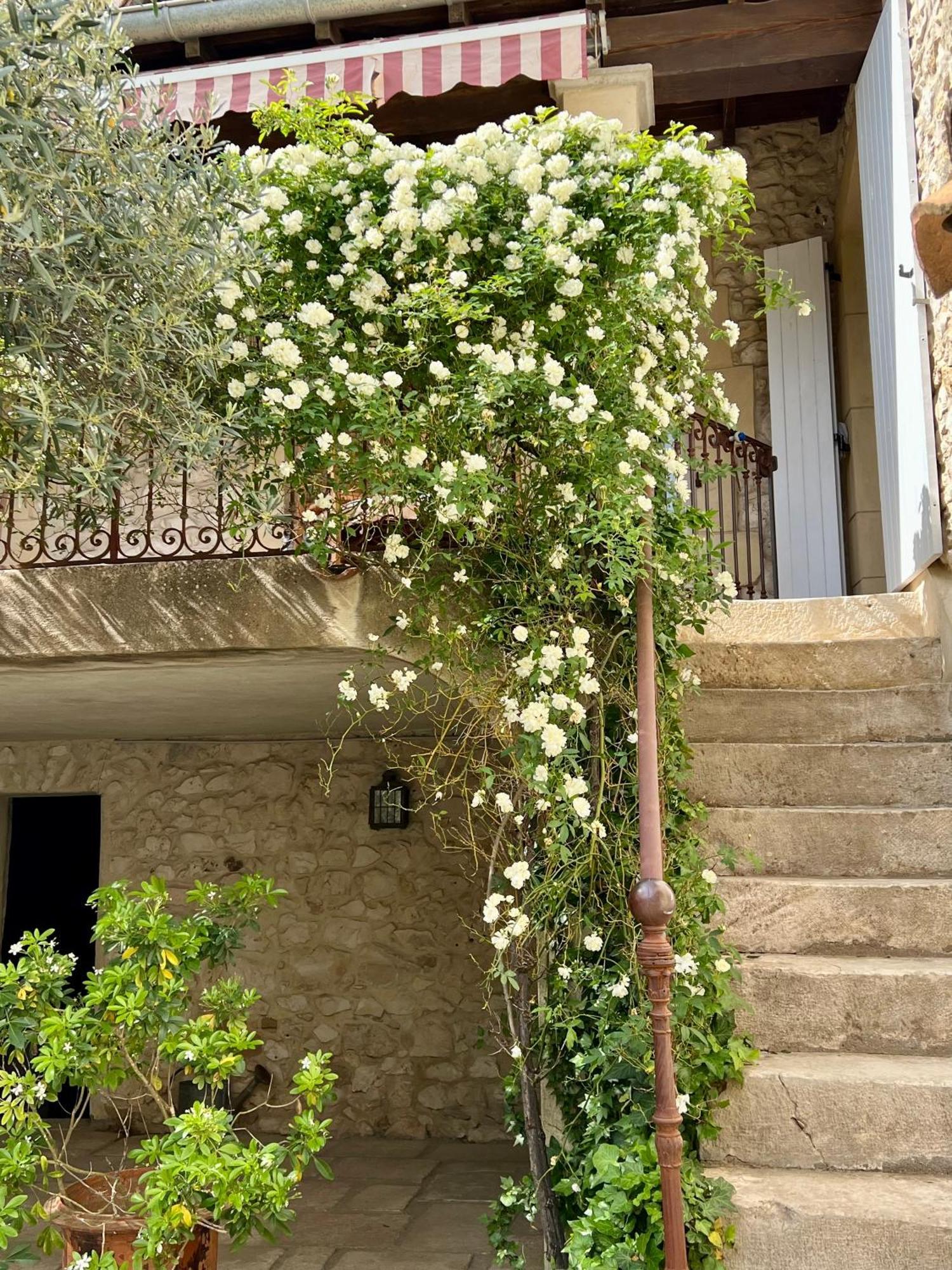 La Maison Des Autres, Piscine Chauffee, Chambres D'Hotes Proches Uzes, Nimes, Pont Du Gard Saint-Genies-de-Malgoires Екстериор снимка